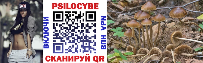 Псилоцибиновые грибы Magic Shrooms  даркнет сайт  Никольск 